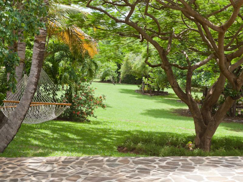 Moana , L'Ansecoy Bay 