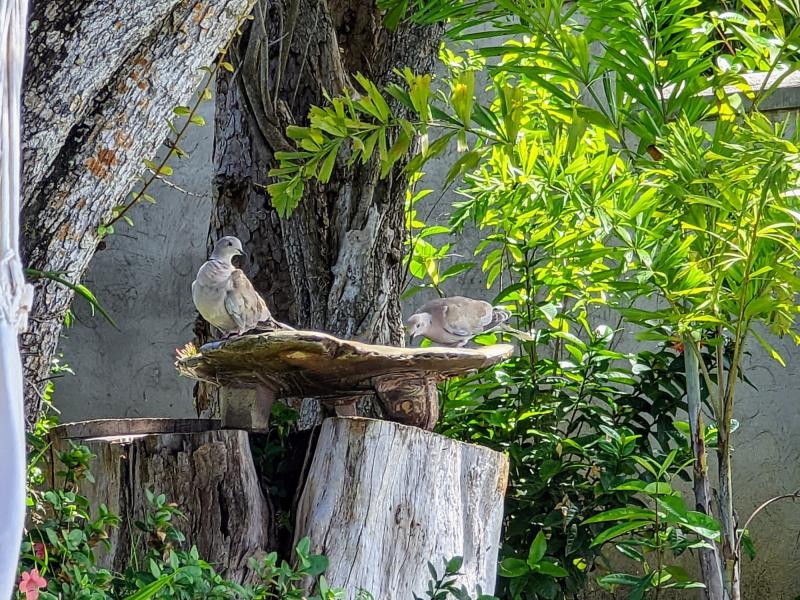 Sea Haven on Discovery Bay , Discovery Bay 