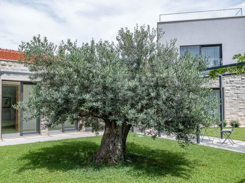 Villa Hilltop Haven , Islands 