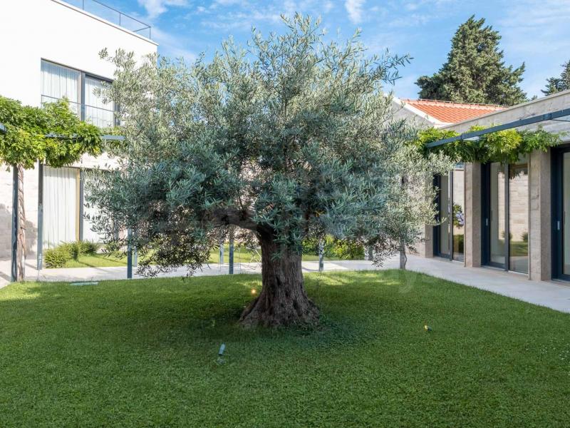 Villa Hilltop Haven , Islands 