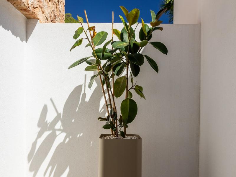 Can Danza , Sant Josep de sa Talaia 