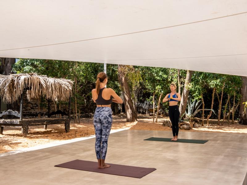 Villa Zola , Roca Llisa 