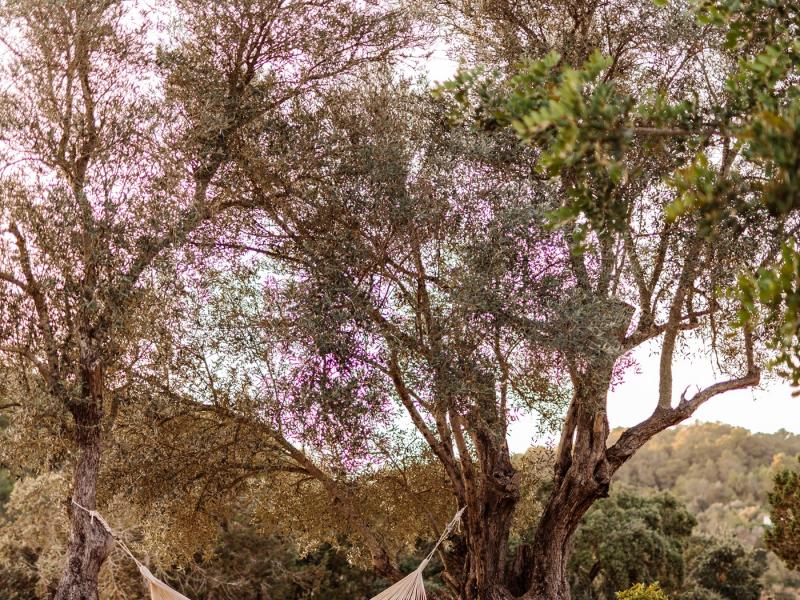 Finca Utopia , Central 