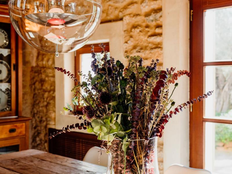 Villa Para , San Antonio 