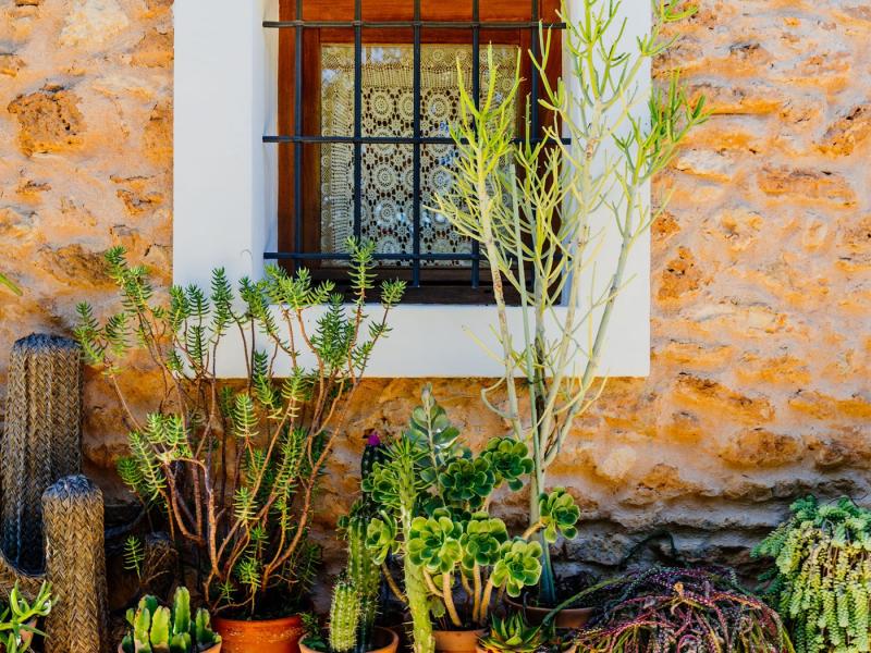 Villa Para , San Antonio 