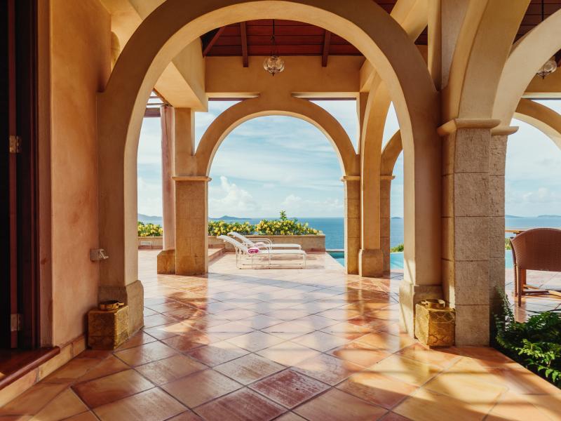 Helianthus , Mount Pleasant 