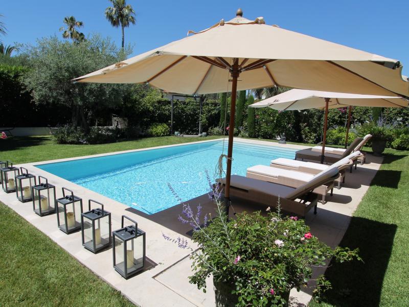 Rose du Cap , Cote D'Azur 