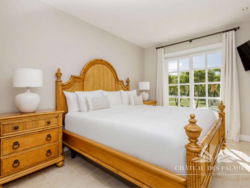 Le Chateau des Palmiers , Terres Basses 