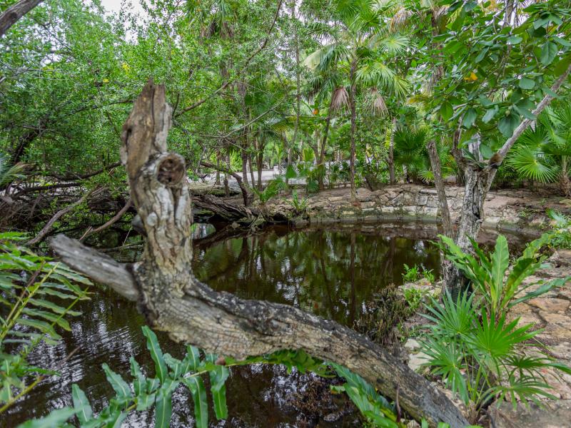 Villa Bel Ha , Xpu Ha 