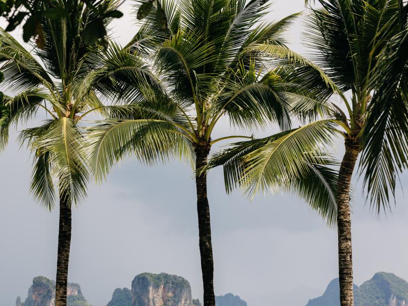 Ani Private Resorts Thailand , Koh Yao Noi Island 