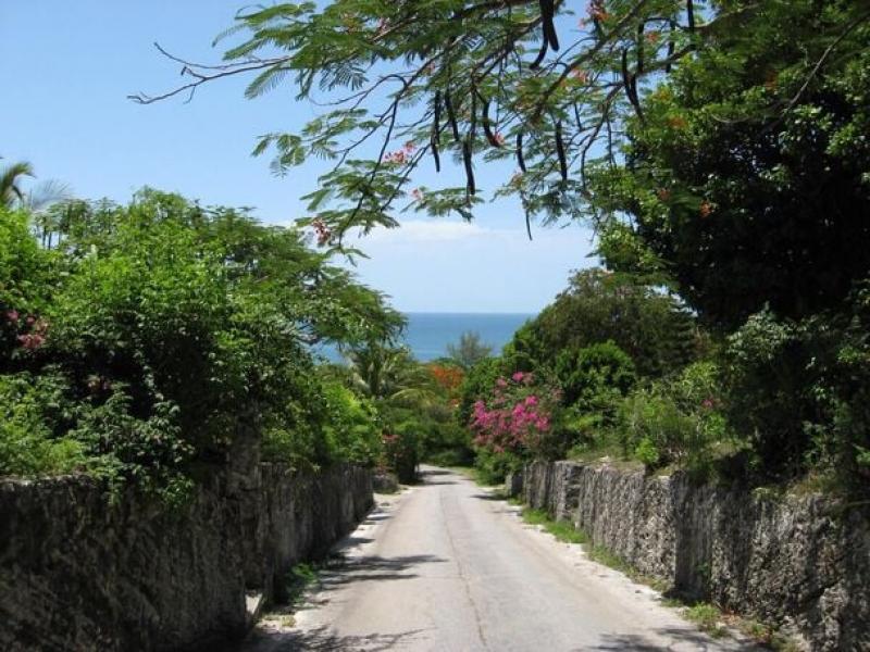 Bohemia - Eleuthera , Eleuthera 