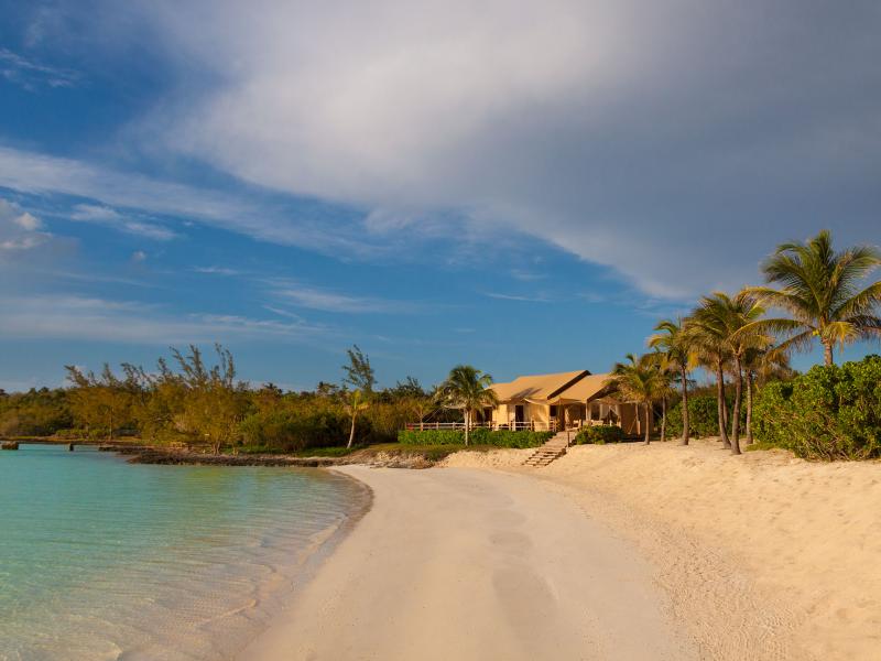 Three Bees , Harbour Island 