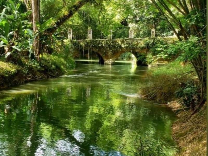 Country House at Good Hope , Montego Bay 