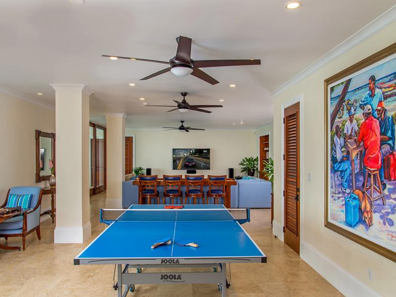 Dragonfly , Montego Bay , Tryall 