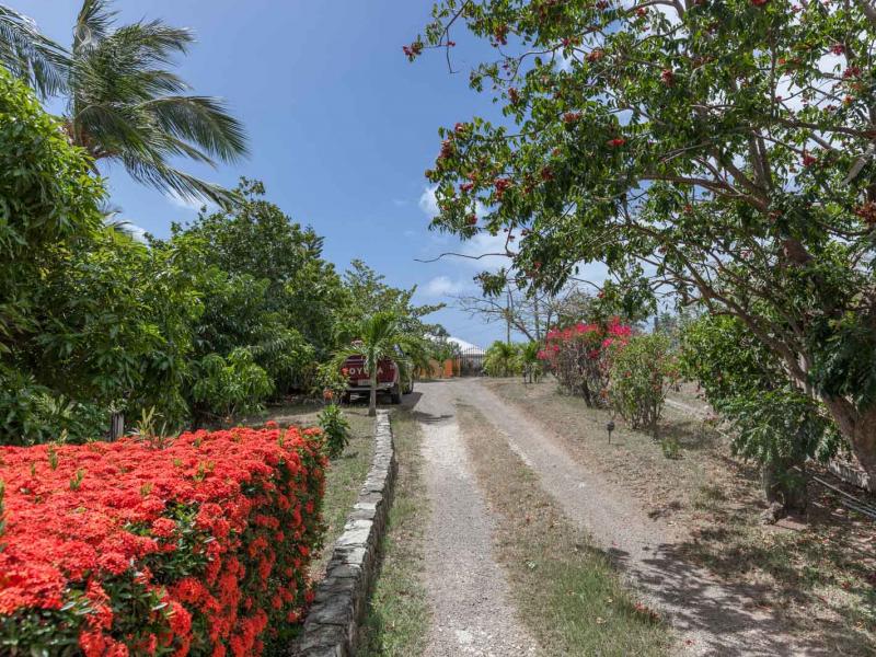 Tropical Paradise , English Harbour 