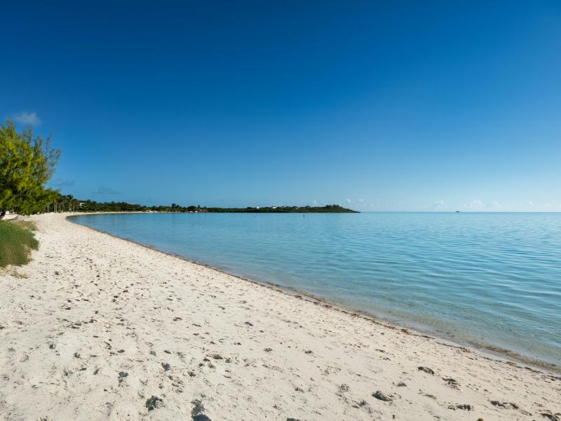 Goldfinger Villa - Beachfront , Long Bay 