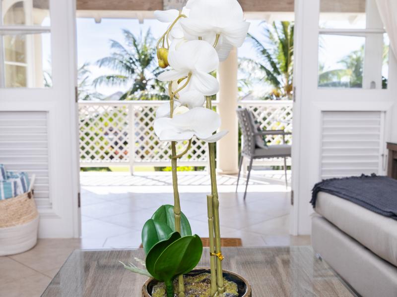 Sugar Hill Apartment B307 , St James , Sugar Hill , West Coast Barbados 