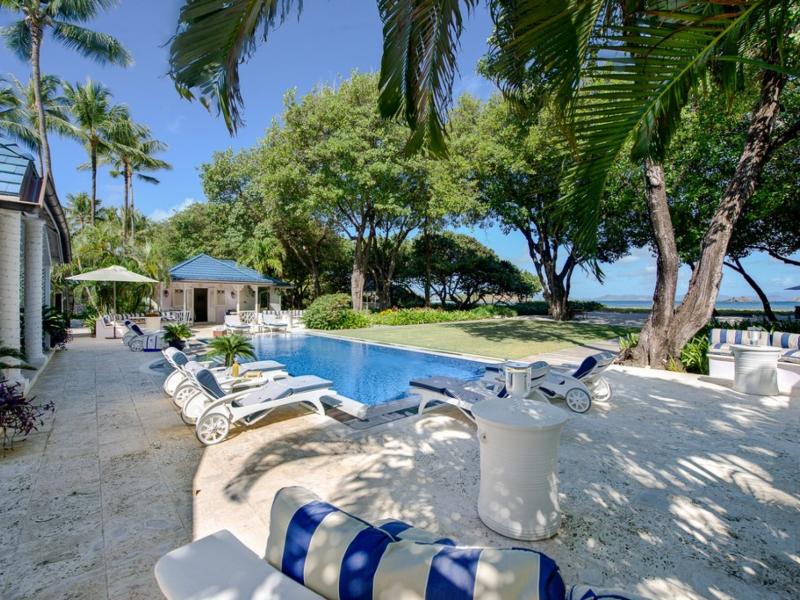 Jacaranda , L'Ansecoy Bay 