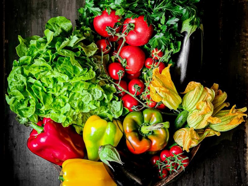 Villa Carolina , Tuscany 