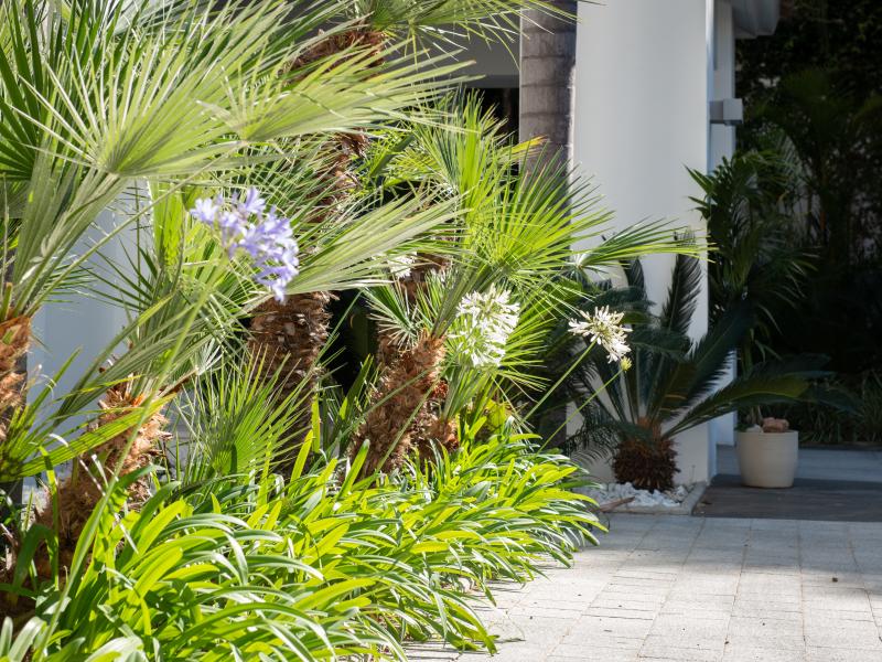 Palo Alto, La Zagaleta , La Zagaleta 