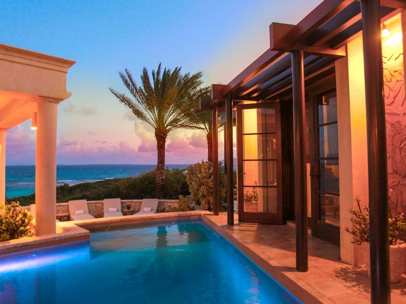 Bird of Paradise Anguilla , Sandy Hill 