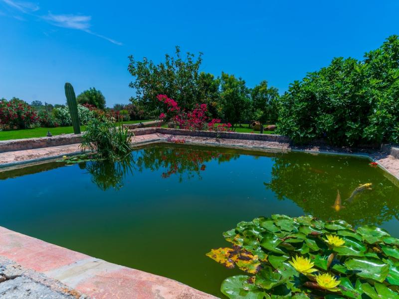 Finca Pia , Marratxí 