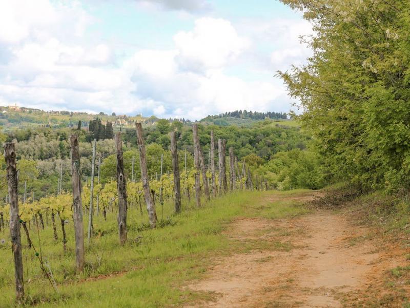 Villa Barbarino , Tuscany 
